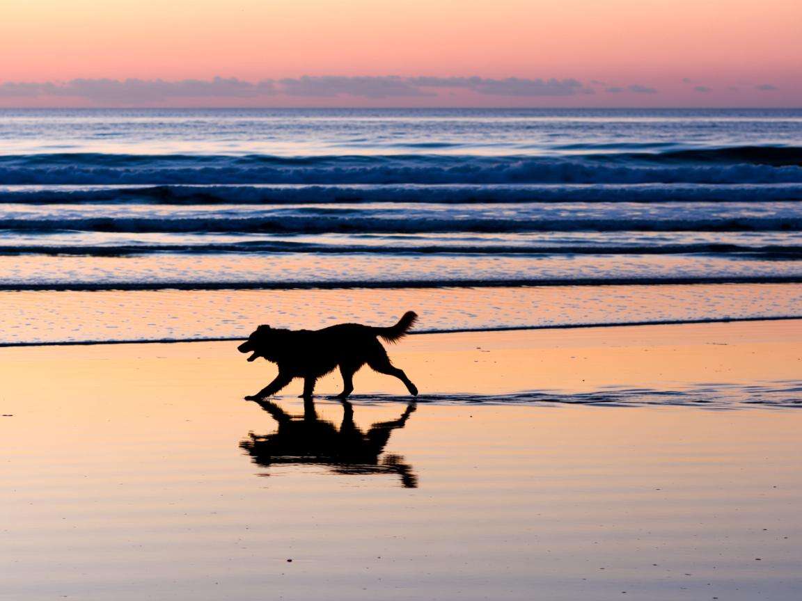 2026新澳门天天免费猜语高手最新动态 狗 07-19-28-33-41-45 T:17 精准分析 专家解析